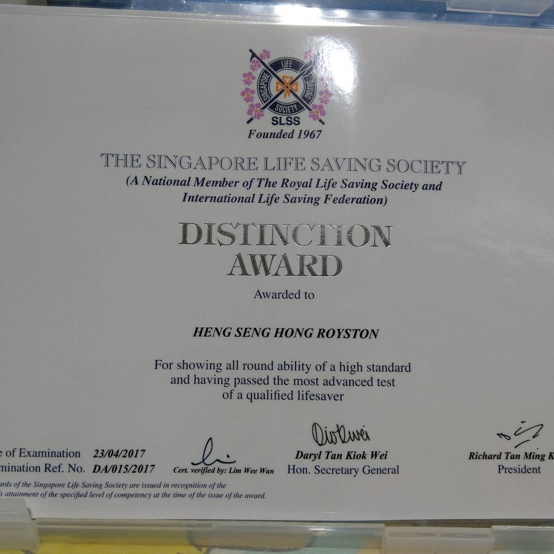 Distinction Award